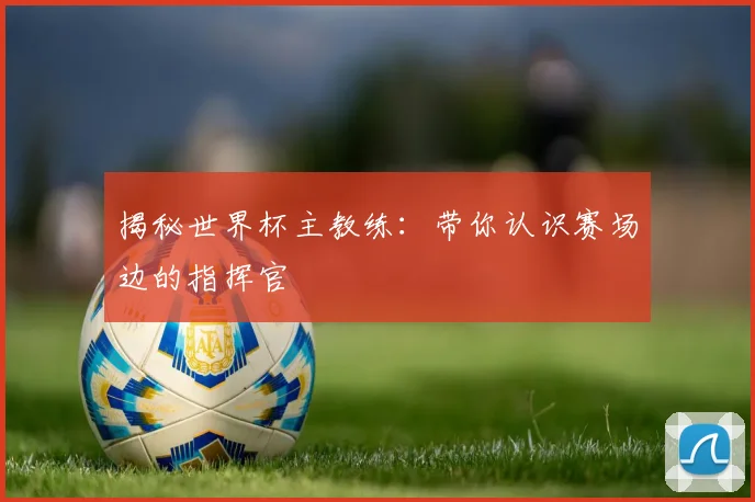 揭秘世界杯主教练：带你认识赛场边的指挥官