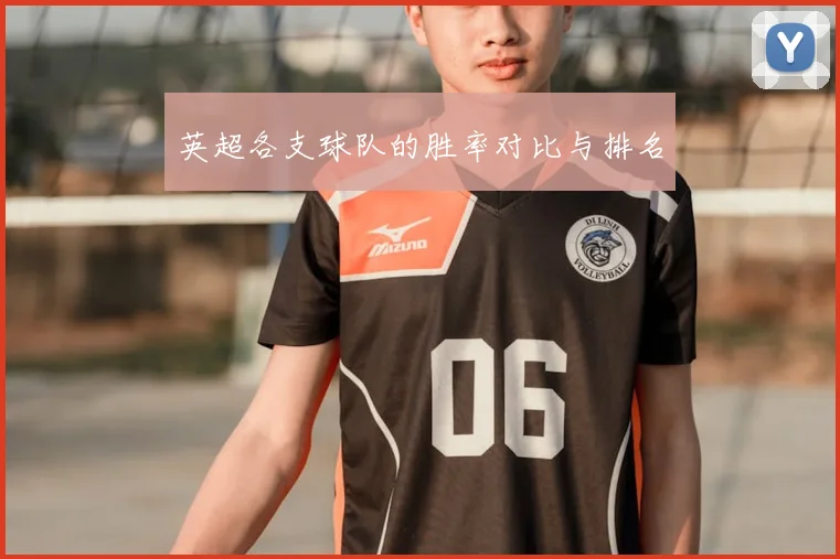 英超各支球队的胜率对比与排名