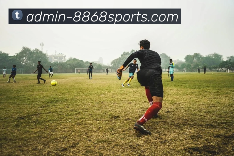 多媒体互动体验