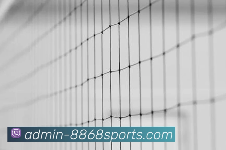 8868体育APP 体育赛事宣传图